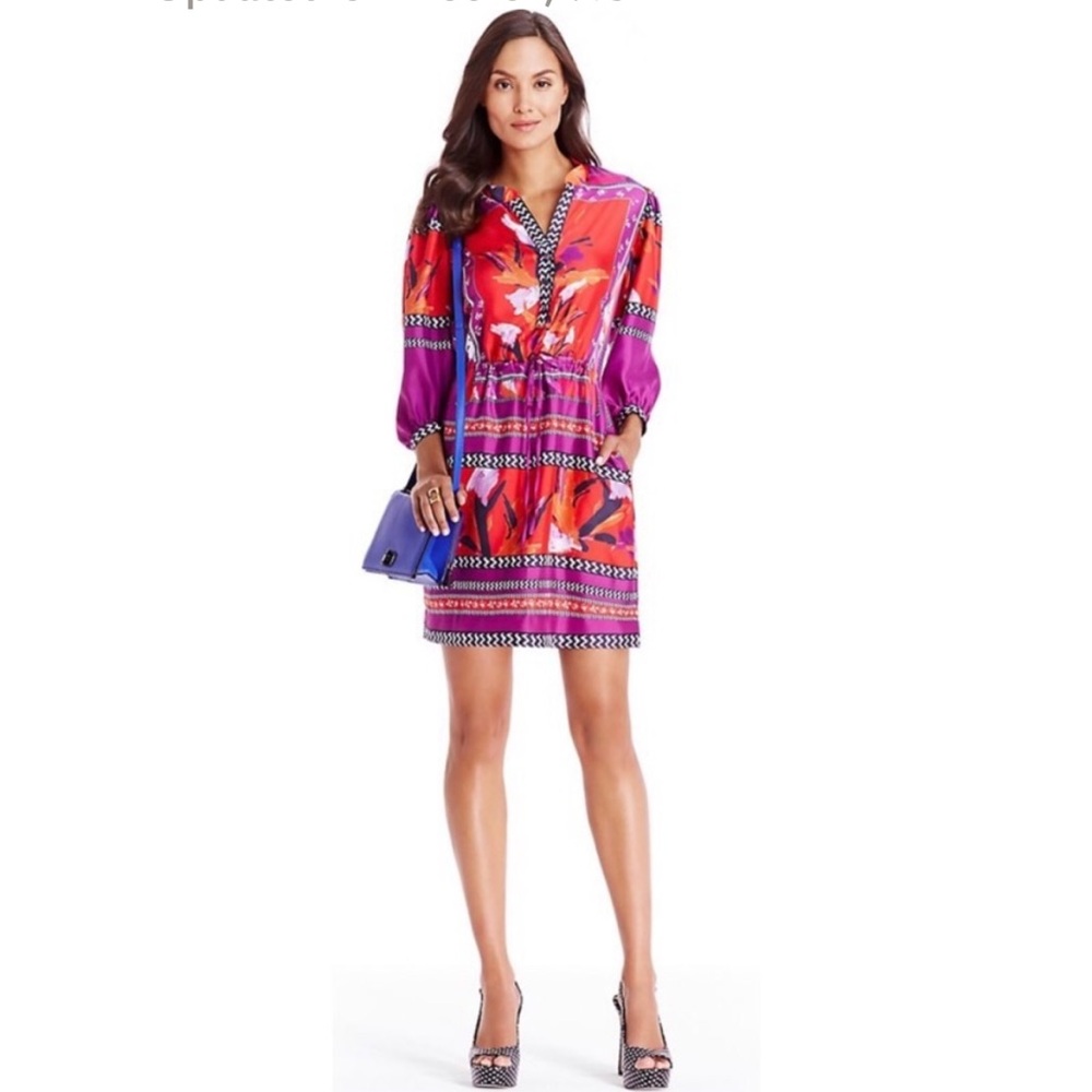 Diane von Furstenberg Multicolor Printed Silk Chrystie Dress